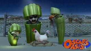 Popy Harchi and Buck Dress Up as Cacti 🌵 | Oscar's Oasis Kids Cartoons