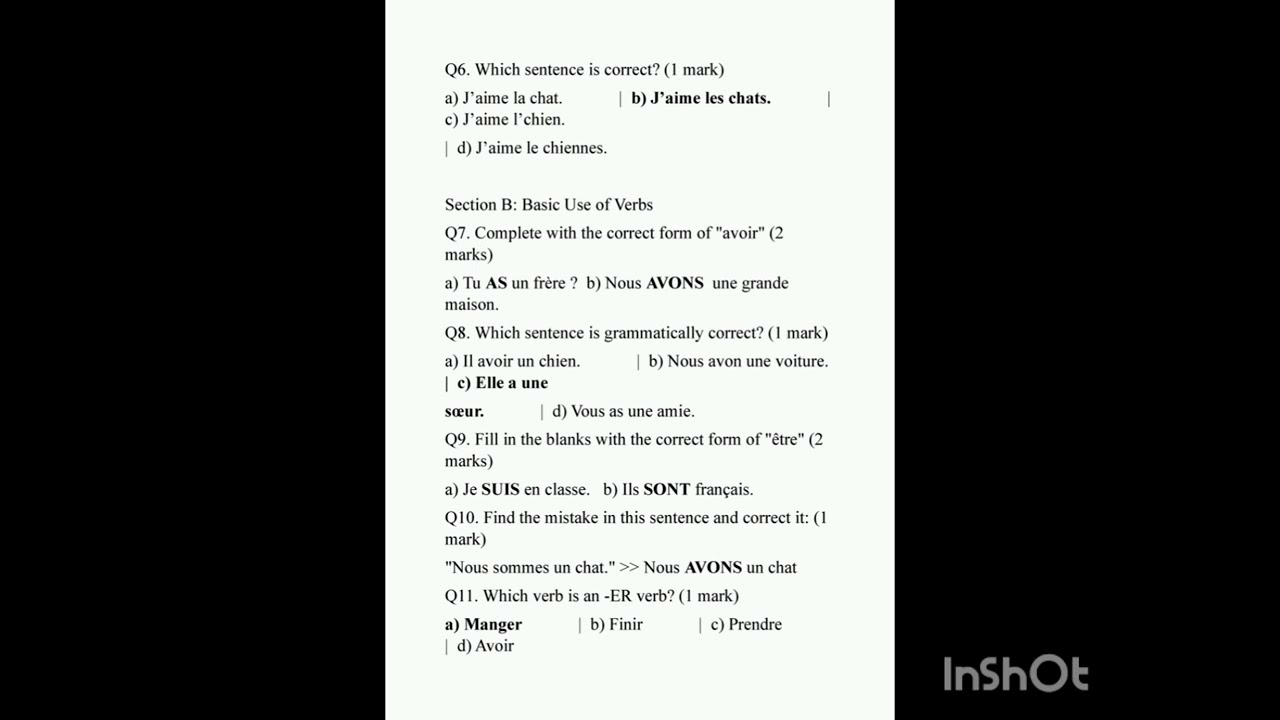 Grade 6 French worksheet for annual exam