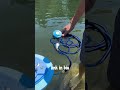 🌊🔋 Dive Deep with the TUXING Upgraded Tankless Scuba System! 🚀  #ScubaDiving