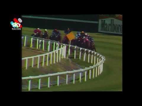 Luskin Star 1977 Golden Slipper