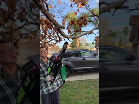 User submitted video