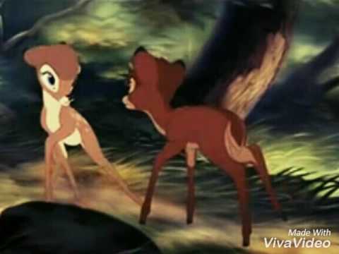 Ronno y feline se enamoran