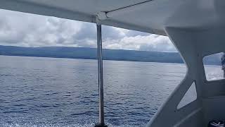 preview picture of video 'lumba-lumba dalam perjalanan antara samawa sea side cottage dengan pulau moyo..'