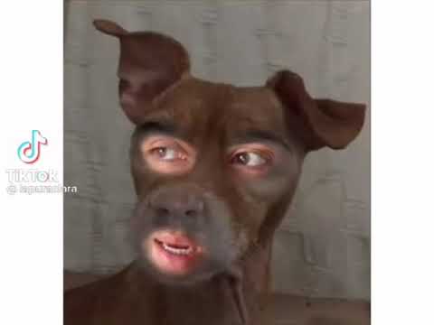 El Cuco el perro que no quería ser rescatado #AdoptaNoCompres #viral #Tendencias