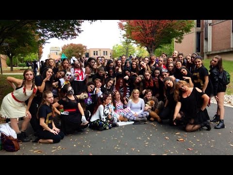 MSDC Montage 2014 2015