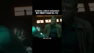 우주에서는 고양이가 인간남자보다 훨씬 위험분자 취급을 받는 이유 #마블 #아이언맨 #어벤져스 #캡틴마블