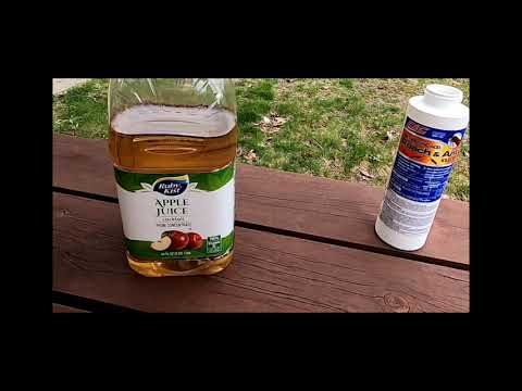 Homemade Wasp, Hornet Trap