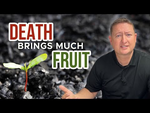 Cable Lane: Death Brings Much Fruit