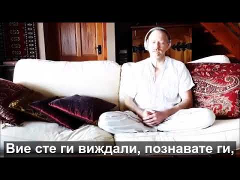 Zingdad - Divine Light Ignite 22-BG