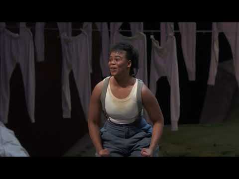 Met Stars Live in Concert: New Year's Eve Gala