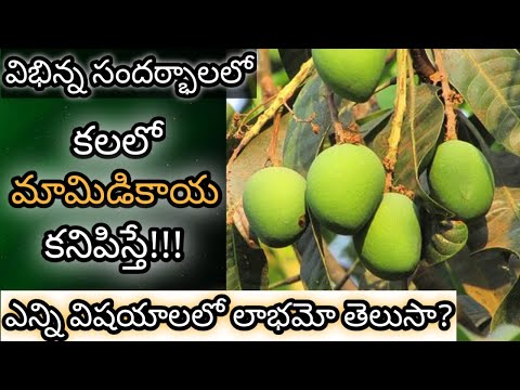 కలలో మామిడికాయ కనిపిస్తే || Kalalo Mamidikaya Kanipiste || Mango in Dream Meaning || Dreambook