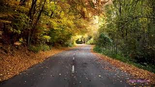 Download lagu ELECTRIC GUITAR RELAXING MUSIC EVER 1 HOUR MEDITATION RELAXATION mp3