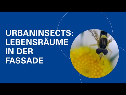 UrbanInsects: Turning Building Facades into Biodiversity Habitats