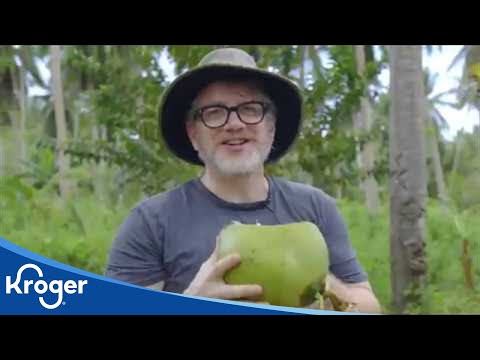 download lagu mp3 mp4 How Does Water Come In Coconut, download lagu How Does Water Come In Coconut gratis, unduh video klip How Does Water Come In Coconut