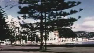 DayLight . Robert Scott and Flying Nun Records. Archival video remix.