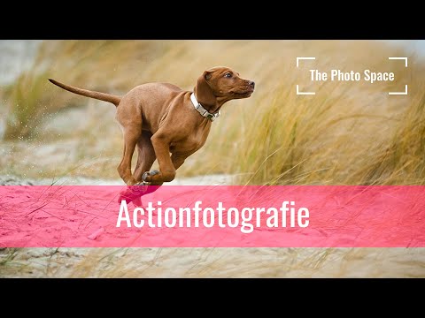 Action photography | 5 tips for photographing moving subjects