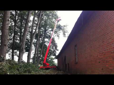 Astrein Baumpflege: Rückschnitt von Linden mit Hub-Arbeitsbühne Leo30 Teil 1