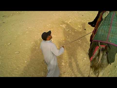[A-M Egypt Trip 02] On a camel 2