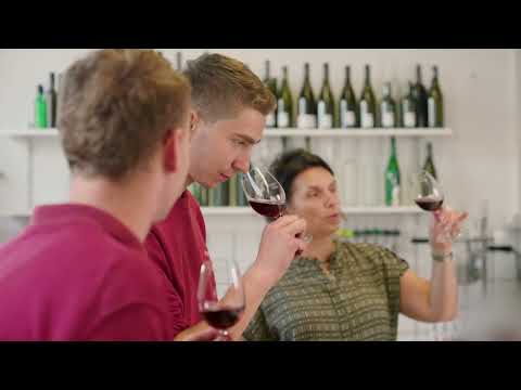 WZG: Echt Württemberger