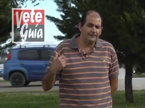 Veteguía - MV  Fabián Perez   Convulsiones