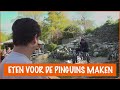 Wat eten pinguïns allemaal? | DierenpraatTV
