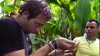 Jardin de Ranas - Tortuguero, Costa Rica