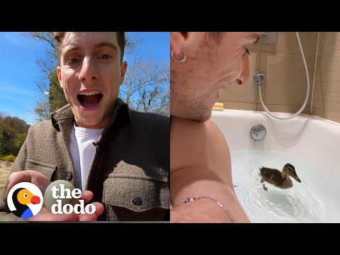 Man Finds Mysterious Egg In The Center Of London | The Dodo