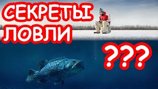 Зимняя рыбалка для начинающих советы