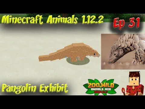 EPIC Pangolin Exhibit w/ Minecraft Animals