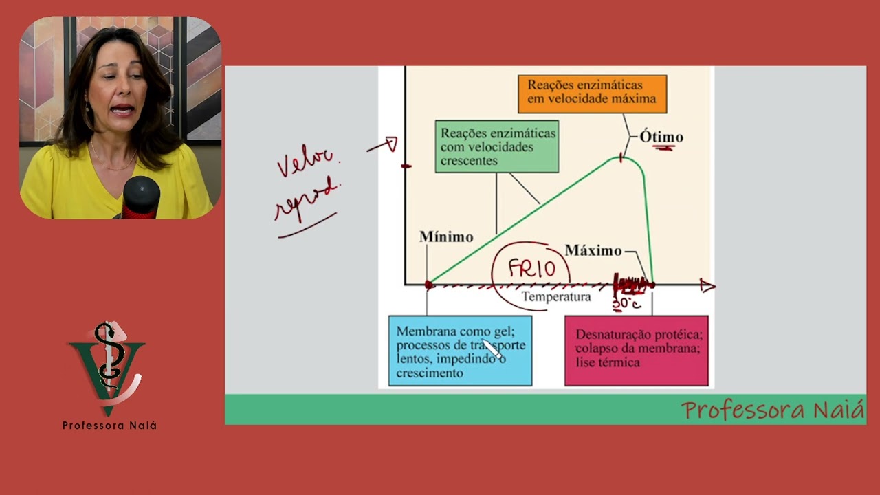 Como o frio e o calor influenciam os microrganismos dos alimentos