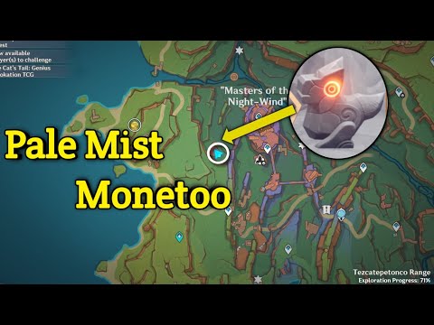 Pale Mist Monetoo  Puzzle Gwnshin Impact