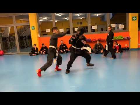 Allenamento al combattimento kung fu