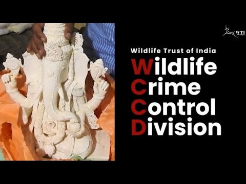 Save Indian Wildlife from Poaching & Illegal Trade