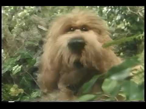 I'll Turn Him into Bunny Stew song from Tale of the Bunny Picnic