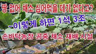 땅 없어 채소 심어먹을 데가 없다고? 이렇게 하면 1석 3조. -손바닥농장 공중 채소 재배시설 (상추 가꾸기…