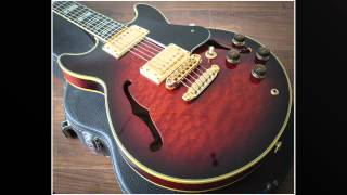 Video thumbnail for Ibanez AM205 Artist (1983) by Archtop Heaven