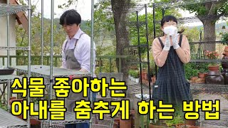 식물을 위한 선반 조립은 아내를 춤추게 한다
