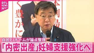 【内密出産】自民プロジェクトチームが論点整理取りまとめ  妊婦支援強化へ