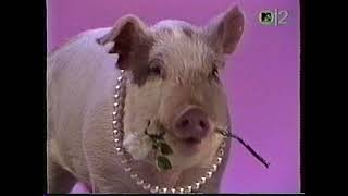 The Muppets - I'm Gonna Always Love You