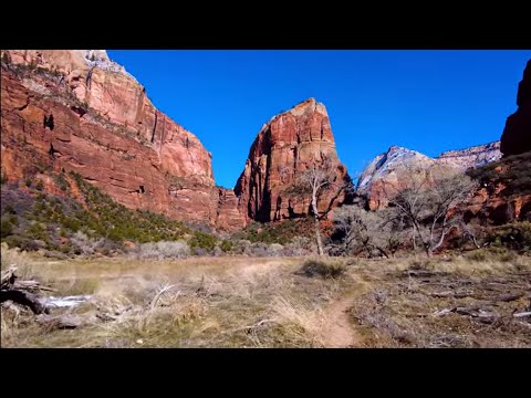 Zion National Park 4K Nature Walk  ⫸  Let's walk along the river