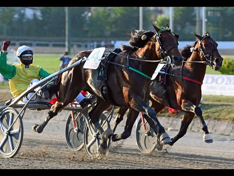FACE TIME BOURBON VINCE E DOMINA IL 72° LOTTERIA DI AGNANO 2021 - NAPOLI 03/10/2021 - RECORD 1.10.2!