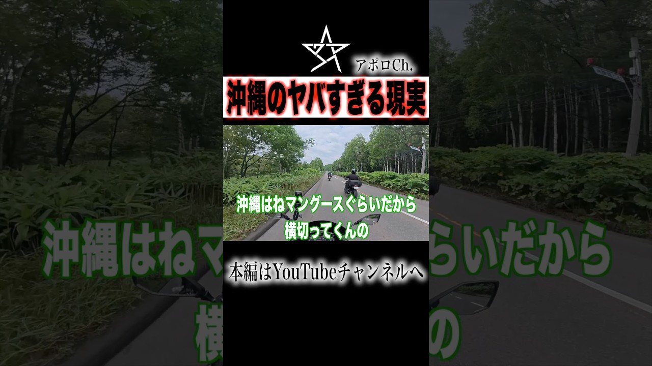 沖縄のヤバすぎる現実