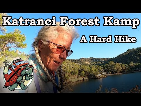 Even The Dogs Were Struggling On This Hike!