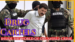 Drug Cartels: Inside the World of Organised Crime | The Deadly Drug War