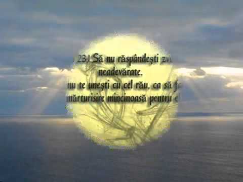 Fratii de la Toflea   Noi Il asteptam