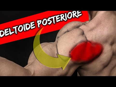 SPALLE POSTERIORI - 2 Esercizi OBBLIGATORI da FARE per un DELTOIDE STONDATO e una SCHIENA SPESSA