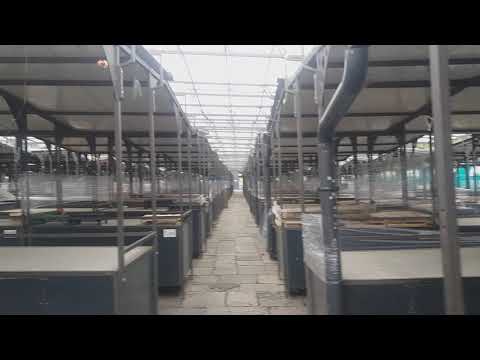 Kalenic Pijaca 21.4.2020