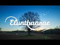 Elunthaarae எழுந்தாரே Easter Tamil Song 2022 New Tamil Christian Song ENGLISH LYRI