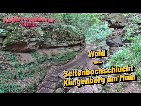Seltenbach - Mechenharderschlucht