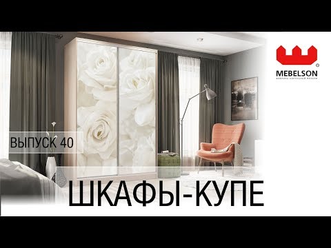 Шкаф купе РИО Мебельсон